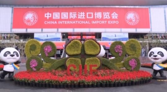 五大板块！进博会服务贸易展区看这里