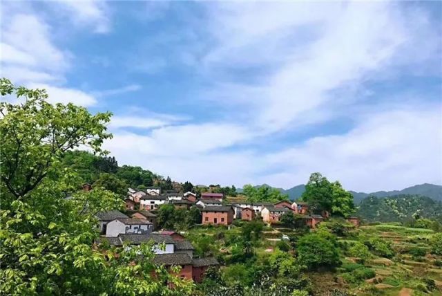 杭州有个“秘密花园”美到不可方物！也许会成为下一个热门奖旅点