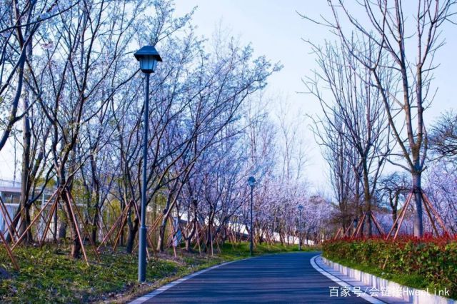 在吴中山水间，与春天重逢