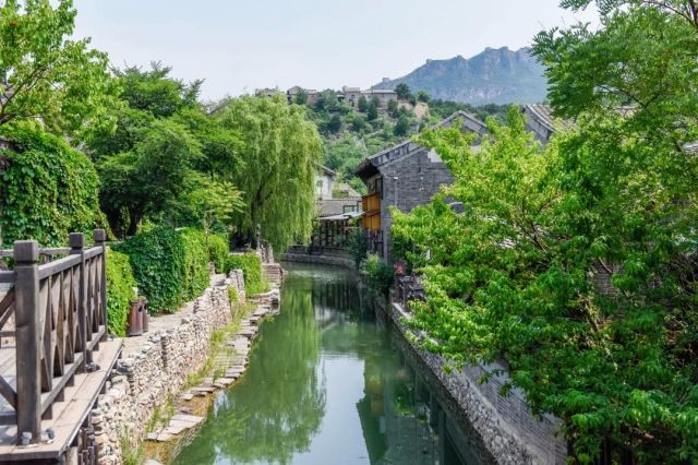 叮咚！我们的快乐回来了，美食美景，乐享不停！
