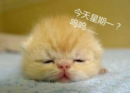 楚有才：会议活动中的周一效应