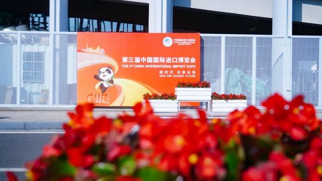 国家第二次为一个展会成立组委会，“阵容豪华”