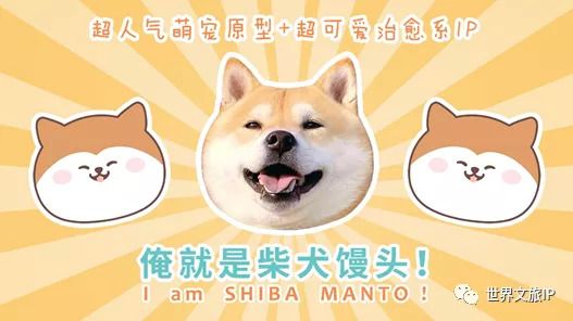 专访丨柴犬馒头—小朋友文创联合创始人 席晟宁Sid