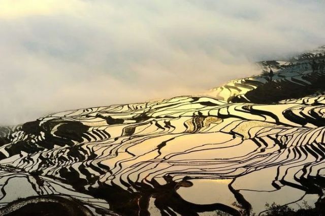观点丨文化发展与IP