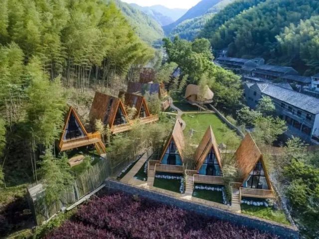 12个重大文旅项目宁波签约，余秋雨送上祝福